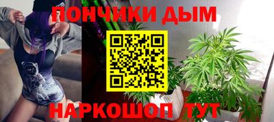 индика Заводоуковск