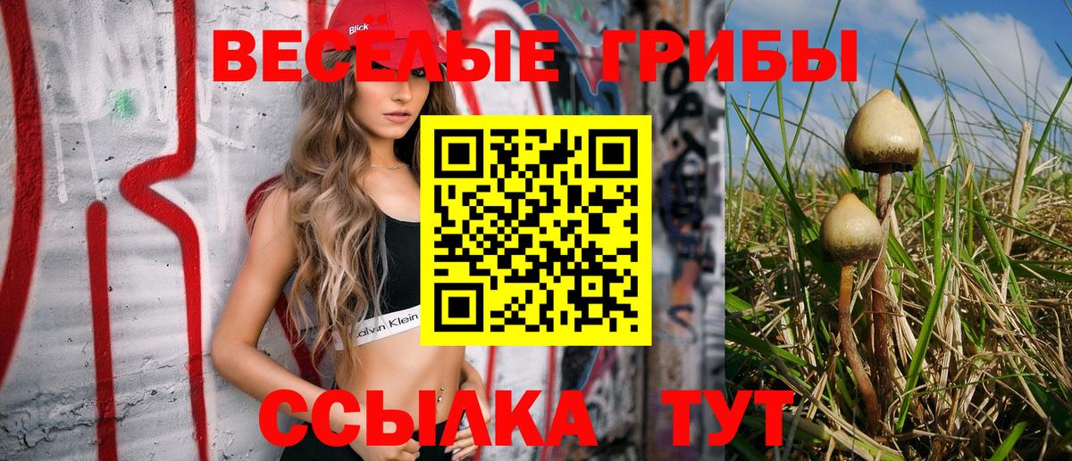 Галлюциногенные грибы ЛСД  Вход с VPN  Курчатов 